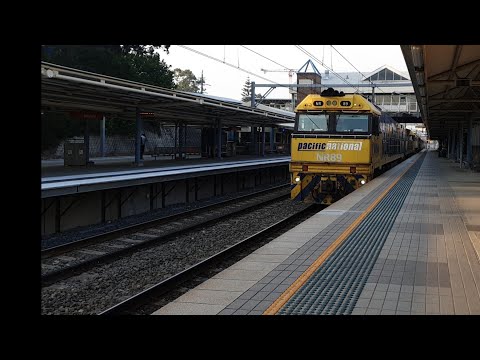 4124 Cement and sugar with NRs leading