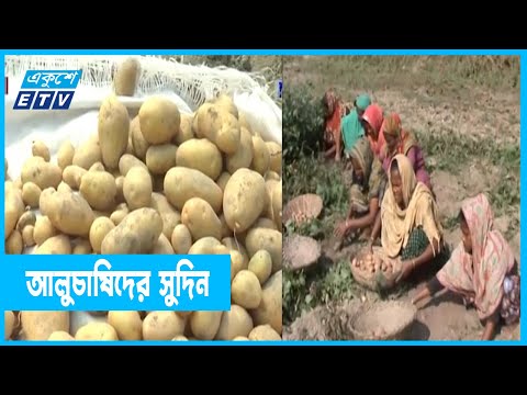 দেশি আলু যাচ্ছে বিদেশে, কৃষকের মুখে হাসি