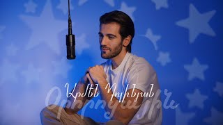 Armen Dolinyan - Ororocayin (2026)