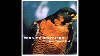 Pernice Brothers - Our Time Has Passed