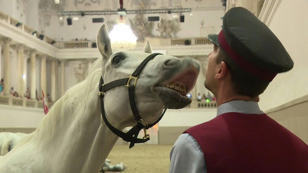 Image for the title: maxresdefault