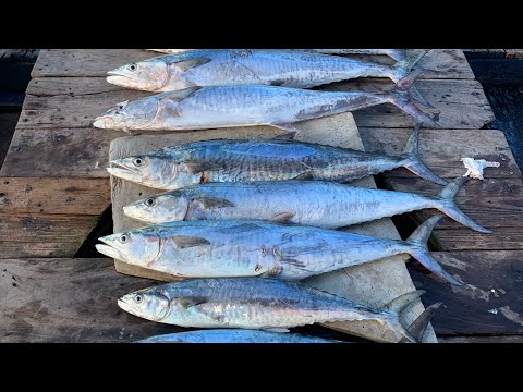 Mancing Tenggiri- Karang Setan