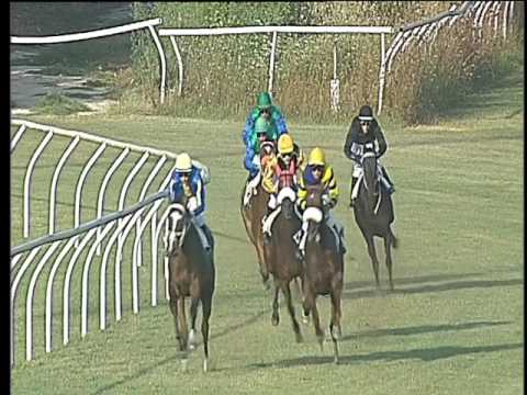 Galoppo 02/08/2017 - 2ª corsa