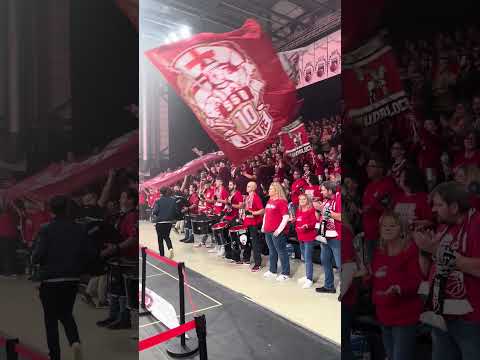 Freak City-Frankenhölle (Bamberg vs. Chemnitz 🏀💪🏼 #freakcity #frankenhölle #basketball #underdog