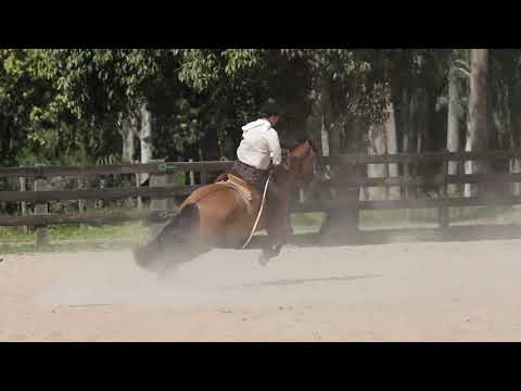 LAS CALLANAS OCASION