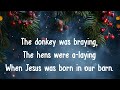 Born in a Barn