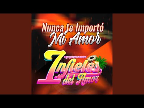 Nunca te importó mi Amor