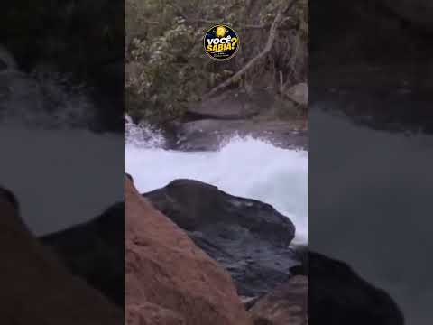 Título: 🌊 Jaborandi: Um Paraíso Escondido nas Cachoeiras! 😍#Jaborandi #JaborandiBA #Bahia #Cachoeira