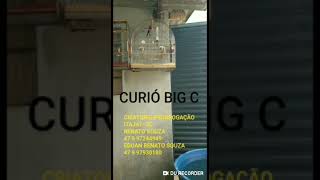 Big C 478