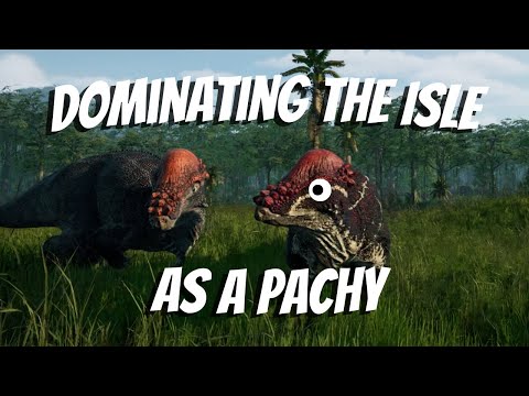 Dominating The Isle as a Pachy