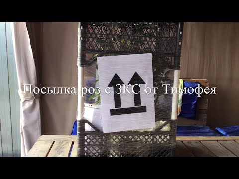 Посылка ЗКС