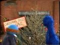 Sesame Street Grover S Christmas Trees