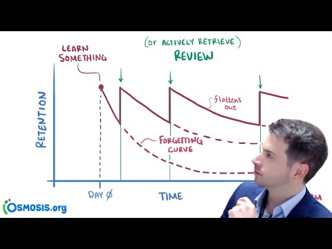 Spaced Repetition System: Why and How it Works