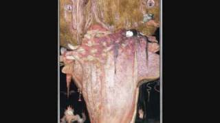 Robert Fripp and Brian Eno. Type 15