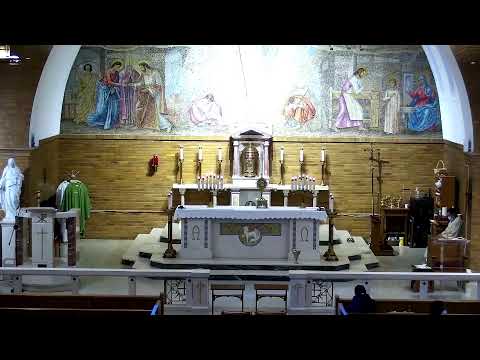 JMI LIVE Live Stream