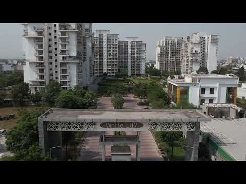 Parker White Lily Project Tour 1