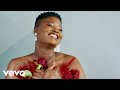Tarzan Seyinomnikazi Official Music Video