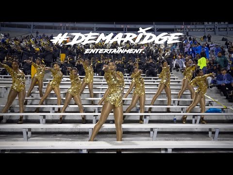 Alabama State University Stingettes "Maybach Music VI" (MCC '19)