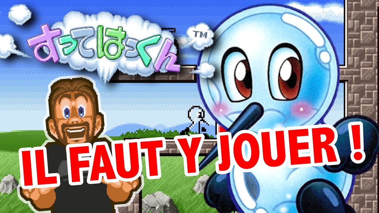 Pourquoi vous devez absolument jouer à Sutte Hakkun !!!