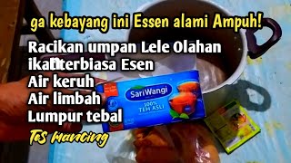 Download lagu If anglers know Essen is not selling this! Galatama catfish bait in murky water smells mp3