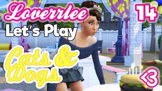 Cats & Dogs: Perfect Pet Park Party!