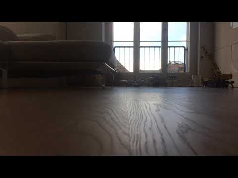 DARIO FILMS- HAUPTKOMMISAR TONIRÄUBERSCHRECK UND KARLCHEN KNACK WERDEN FREUNDE