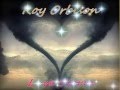 Roy Orbison - Love Storm (Demo)