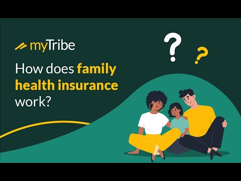 Watch: How does family health insurance in the UK work?