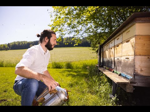 Bio-Imkerei Wildblume