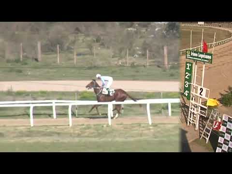 CARRERAS SINT FLORIDA 220908 c04- 1° CHILENO