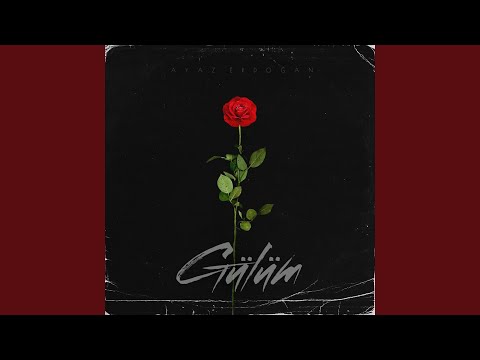 Download Ayaz Erdoğan - Gülüm MP3