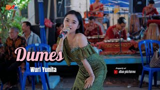 Download lagu Dumes - Voc. Wuri Yunita - Supra nada - Bap Audio (Lek Ndolox) - Live Kajen Mantingan Ngaw mp3