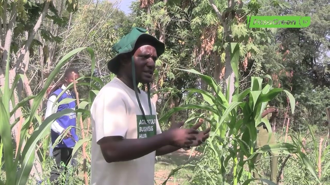 Réduction des pesticides chimiques : Immersion des médias au cœur des pratiques agro écologiques
