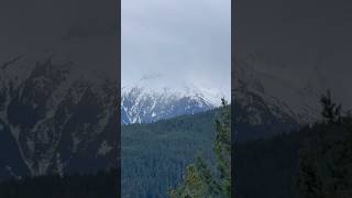 家族ドライブパート4#shorts#カナダvlog #仲良し家族 #家族vlog #家族時間 #仲良し親子 #綺麗な景色#観光名所#ドライブ好き#ドライブ動画#幸せ時間 #楽しいひととき#幸せ家族