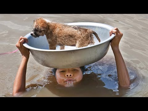 Crianças Que Vão Restaurar Sua Fé na Humanidade