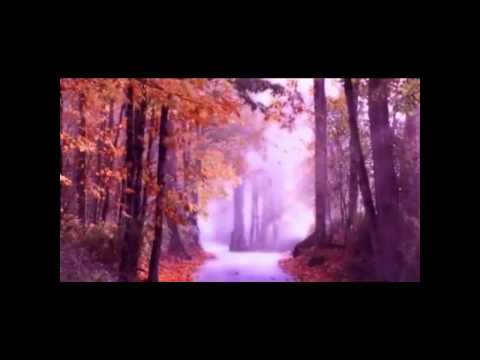 Ciro De Luca feat Cristina Isac - Te voi lasa (Ti lascerò)