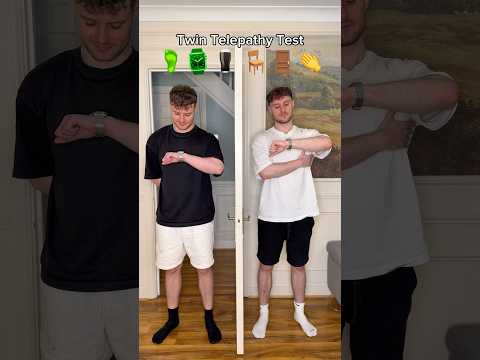 Twin Telepathy Challenge! (Part 22)