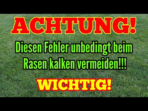 ACHTUNG beim Rasen kalken! Diesen FEHLER unbedingt VERMEIDEN!