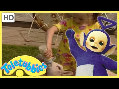 ★Teletubbies Everywhere ★ English Episodes ★ Feeding Lambs (Wales) ★ Full Episode (S2E49) -