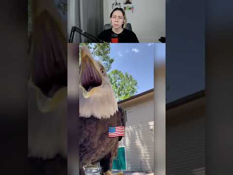 Águila🇺🇸 vs Águila🇲🇽