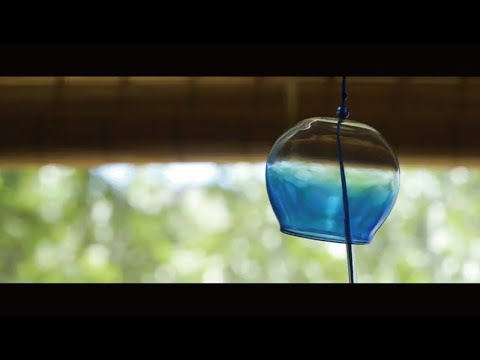 立命館の夏　衣笠キャンパス/Summer at Ritsumeikan: Kinugasa Campus