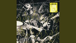 Singing In The Swamp (Live)