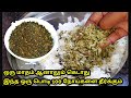 நோய் எதிர்ப்பு சக்தி அதிகரிக்க முருங