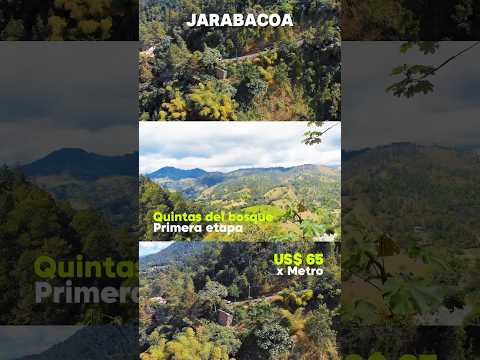 Solar o Lote en Quintas del Bosque 🌳 Contáctame si quieres invertir en 📍Jarabacoa🇩🇴 +18492202635