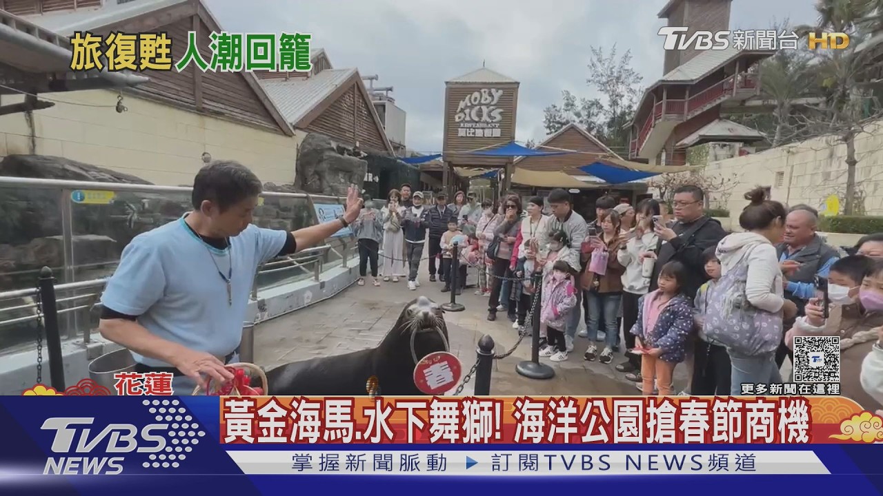 影音／花蓮海洋公園初一上午湧3千人！震後觀光回溫　春節估成長2成