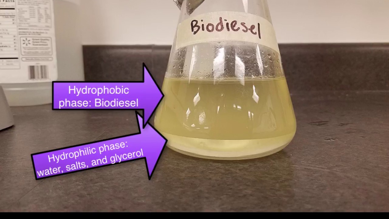 6-6 Transesterification reaction demonstration