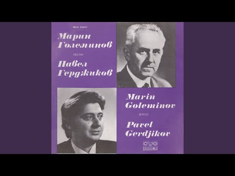 Плакало ми мойто либе