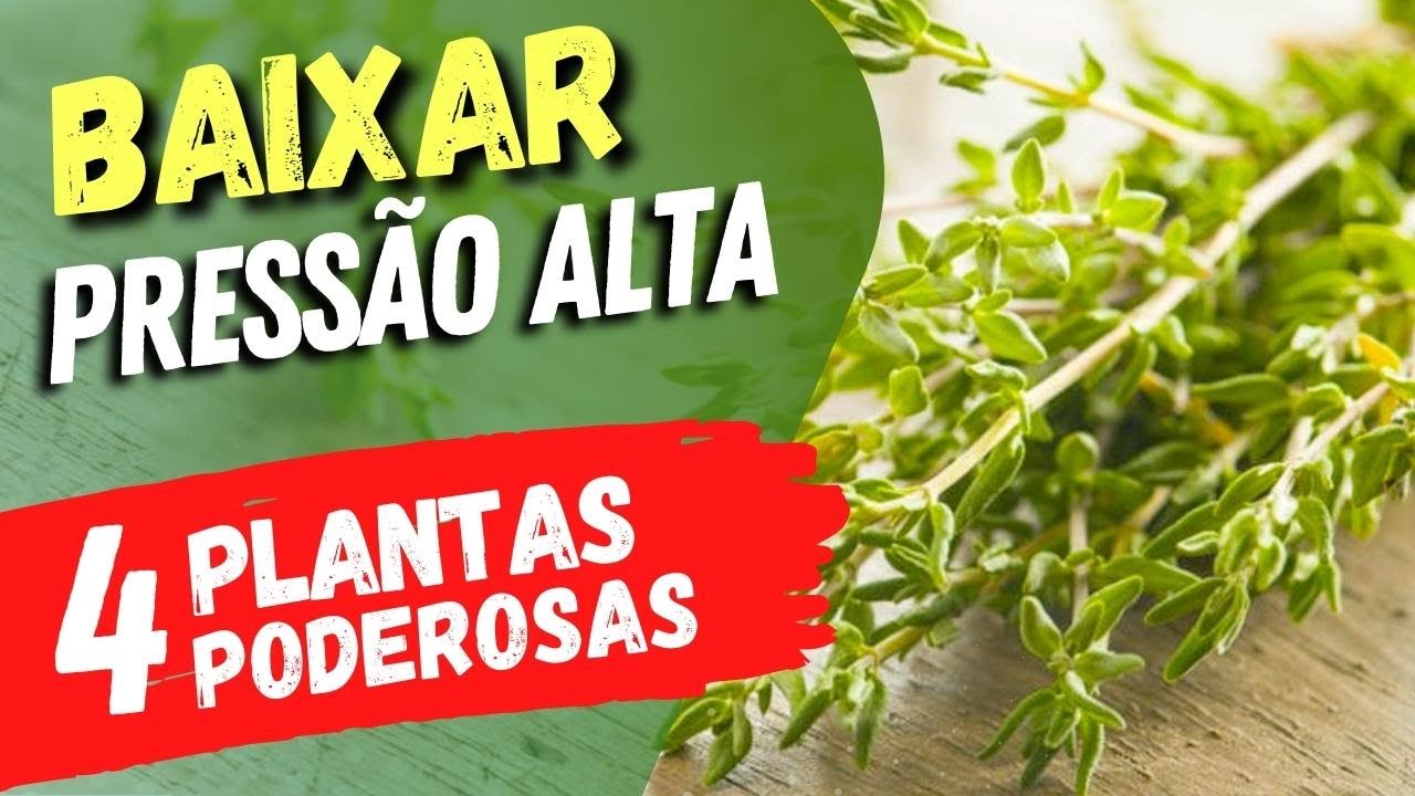 4 Plantas SUPER PODEROSAS para BAIXAR PRESSÃO ALTA!
