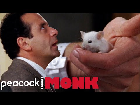 download lagu mp3 mp4 Monk, download mp3 Monk free download mp3, download mp3 Monk