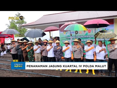 POLDA MALUT TANAM JAGUNG KUARTAL IV MEMBANGUN KEMANDIRIAN PANGAN NASIONAL